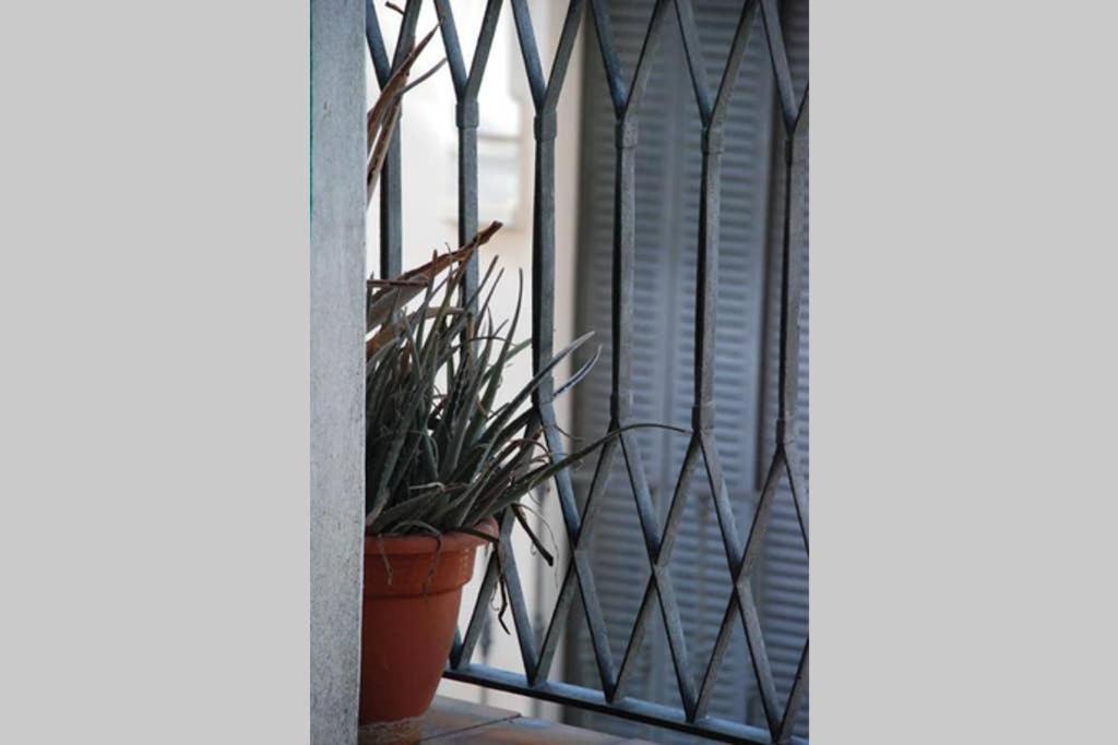 Apartamento Centro Encarnacion 2º I Apartment Seville Luaran gambar